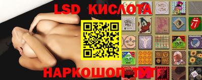 молекула духа Будённовск