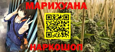 молекула духа Будённовск