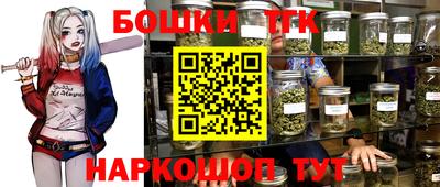 молекула духа Будённовск