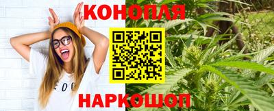 молекула духа Будённовск