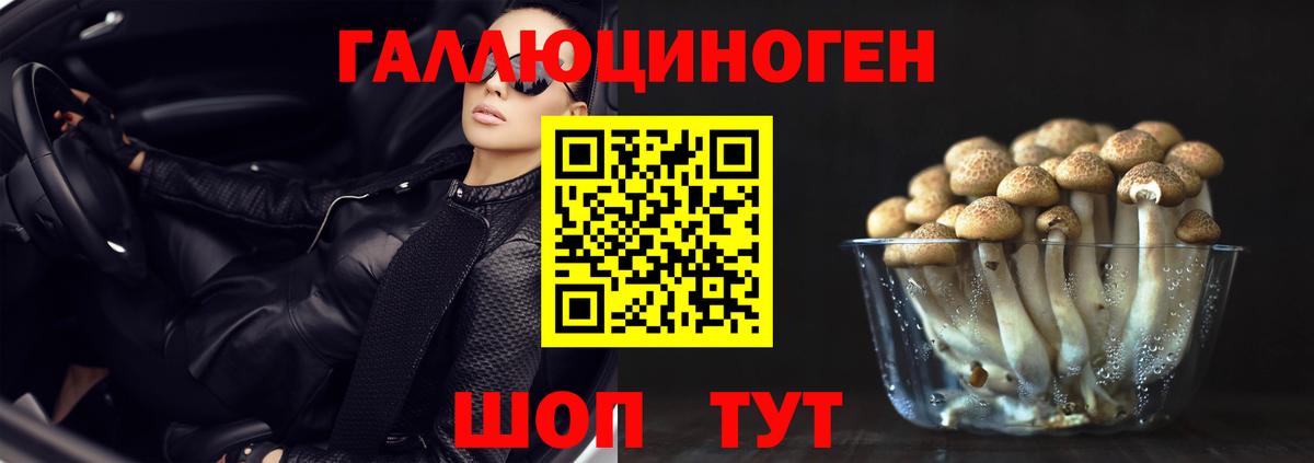 Полысаево  Псилоцибиновые грибы ЛСД  Вход с VPN 
